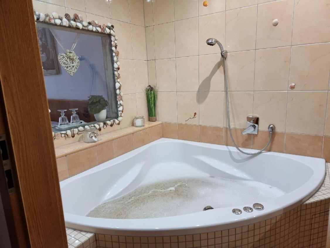 Hotel Pansky Dum Blovice Extérieur photo
